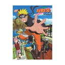 SHINKO MUSIC やさしいピアノ弾き語り NARUTO ナルト 疾風伝