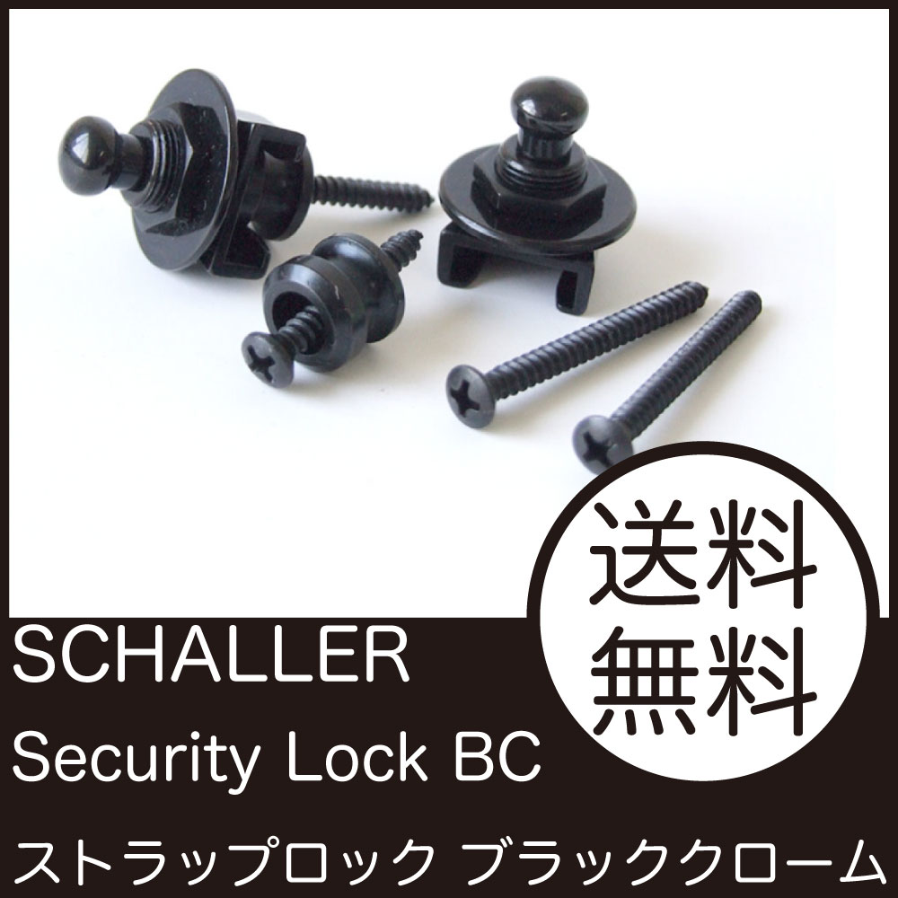 SCHALLER LOCK PIN 1446 BC ブラッククローム ストラップロックピン...:chuya-online:10018838