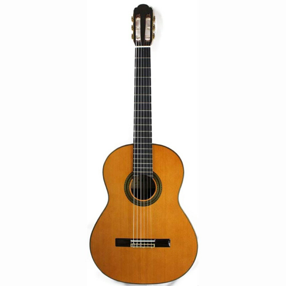 ARIA A-100C クラシックギター ハードケース付き...:chuya-online:10059662