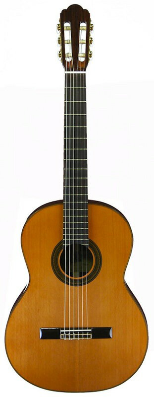 ARIA A-50C クラシックギター ハードケース付き...:chuya-online:10062867