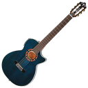 CRAFTER CTS-155C TBU エレクトリッククラシックギター