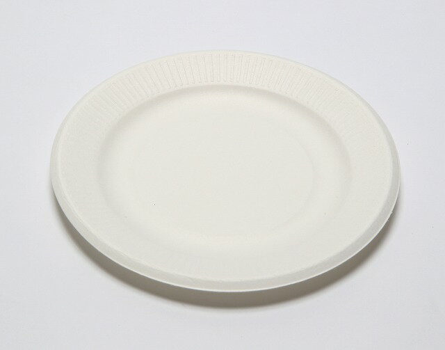 【環境にやさしいサトウキビ使用】紙皿 18cm エコレシピ皿 1P30枚入×60P(180…...:ciemart:10000111