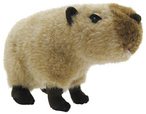 カピバラ Capybara ぬいぐるみS【りくのどうぶつシリーズ】アニマルグッズ通販 シネマコレクション【全品ポイント10倍】3800円で送料無料クーポン12/26まで【ママ割 エントリー5倍】の写真
