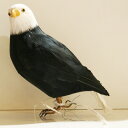 �v�G�u�R PUEBCO ARTIFICIAL BIRDS �o�[�h�I�u�W�FHawk�^�JS�T�C�Y /120072