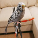 vGuR PUEBCO ARTIFICIAL BIRDSo[hItWFBudgieZLZCCREOC /123073