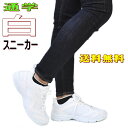 【あす楽】スニーカー 白/白靴/学生靴/レディース