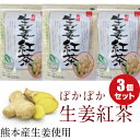 【送料無料】生姜紅茶 ティーパック 20ケ入×3袋セット 5%OFF ジンジャーティー 国産 無添加 熊本産生姜 ジンゲロール 有機栽培茶 女性 冷え性 メール便限定(代引不可)