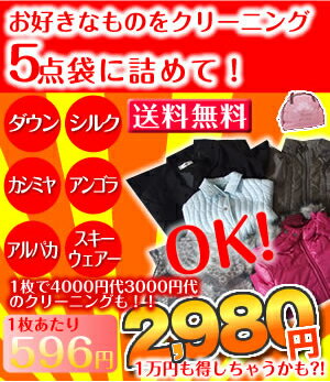 ティアラスペシャルコース1万円もオトク!？5点お好きなものをクリーニングに!袋に5点詰めて！カシミヤ・アンゴラ・スキーウエアー！シルク・アルパカ・ダウンOK！送料無料2980円！ 05P27May11