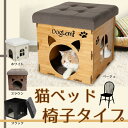 【ポイント5倍】【新着】【送料無料】新入荷!猫 キ