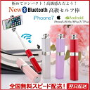 【送料無料】【全国無料スピード配達】セルカ棒リップ