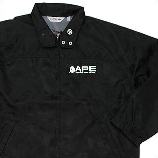 A BATHING APEʥסGORE-TEX 쥤󥸥㥱å...