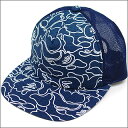 ape メッシュキャップ 画像