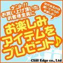 商品お買い上げのお客様全員にお楽しみアイテムをプレ