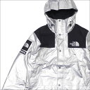シュプリーム SUPREME x THE NORTH FACE ザ・ノースフェイス Metallic Mountain Parka マウンテンパーカ SILVER 225000357132 【新品】