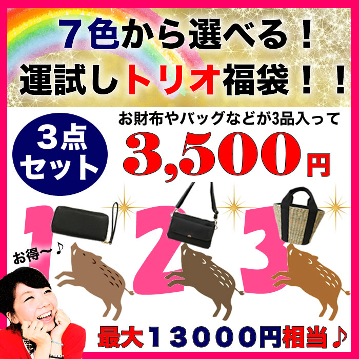 7色から【色が選べる！運試しトリオ福袋】バッグやお財布小物などのお得な3点セット♪2019 レディース 新春 黒 ブランド バッグ 財布 かわいい 小物 ファッション おしゃれ 大人可愛い トート かばん ショルダー ラッキーバッグ 　初売り※2019年1月中旬頃お届け予定