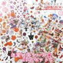 お買い得!シール10枚セットC おすすめ・シール福袋 デコレ...