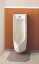 自動洗浄小便器 TOTO【UFS800C】非ジアテクトAC100Vタイプ壁掛小便器(低リップ・塩ビ排水管用)【smtb-TD】【saitama】