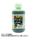 国産 プリザーブド着色液 花用 1.0L スプリンググリーン EB0003802「他の商品と同梱不可/北海道、沖縄、離島別途送料」