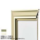 アルナ アルミフレーム デッサン額 HVL ゴールド コピー紙B4 12350「他の商品と同梱不可/北海道、沖縄、離島別途送料」