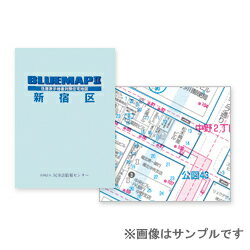 ゼンリン土地情報地図 ブルーマップ 軽井沢町 200901 20321040C