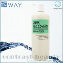 【最大200円クーポン】【x2個セット】ニューウェイジャパン パイウェイ リカバリーシャンプー 1000ml《shampoo》