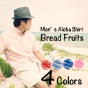 アロハシャツ メンズ(男性用)「Bread Fruits」Panaから贈る2013年新作アロハシャツ！全4色展開　　半袖 　沖縄ウエディングには当店のアロハシャツ！ 3L 大きいサイズありクールビズにはアロハシャツ&かりゆしアロハシャツ！Panaの新作♪クールビズや沖縄ウエディングに