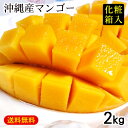 沖縄産マンゴー2kg(4〜6玉)化粧箱 <ギフトに最適>