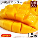 沖縄産マンゴー1.5kg(4〜6玉)白箱