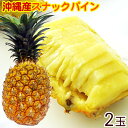 ¡ÚÁ÷ÎÁ̵ÎÁ¡Û²Æì»º¥¹¥Ê¥Ã¥¯¥Ñ¥¤¥ó2¸ÄÆþ¡Ê1.5¡Á2kg¡Ë¡¡¡Ã¥Ü¥´¡¼¥ë¥Ñ¥¤¥ó¡Ã