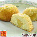 シークワーサーシフォンケーキ 9個入×3箱 【送料無料】
