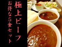 【カレー専門店　あんくる健康カレー】　極上ビーフカレー　【お得な5食セット】