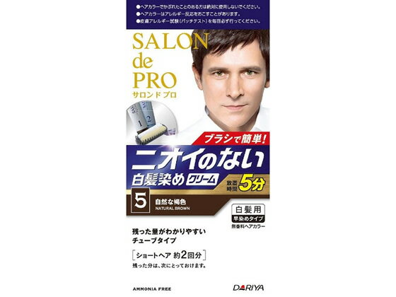 ダリヤ/サロン ド プロ 無香料ヘアカラー メンズスピーディ 白髪用 5【送料290円 2900円以上で送料無料】【平日即日発送】