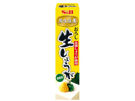 エスビー食品/おろし生しょうが 40g【送料290円 2900円以上で送料無料】【平日即日発送】