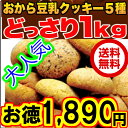 大ヒット おから豆乳クッキー 1kg 80個 1個24円 【送料無料】 飽きないおいしさ チョコ オレンジ チーズ シナモン 抹茶のミックス おからクッキー ダイエットクッキー 【あす楽_土曜営業】【あす楽_日曜営業】 【HLS_DU】 【RCP】 05P04Aug13