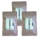 ズキガード 90粒入り 3袋セット 送料無料 フィーバーフュー 頭のズキズキ