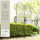 【最大1,000円OFFクーポン配布中】 ガーデン フェンス アイアン 目隠し ガーデニング ガーデンフェンス アイアンフェンス ラティス 柵 おしゃれ 間仕切り トレリス 屋外 庭 ベランダ 簡単設置 アンティーク アイアンローズフェンス 220cm ハイタイプ 2枚セット