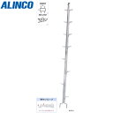 ALINCO(アルインコ):枝打ちはしご W-31A