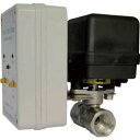 日本精器 電動ボールバルブ式タイマードレンバルブ15A100V BN9DM2115E100 8183422