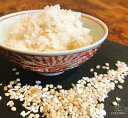 《 送料無料 》ヒミツの ダイエットブレンド雑穀米(豆抜)【...