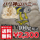 バリ神山ハニー400g【コーヒー豆】【珈琲豆】【コーヒー】【インドネシア】【バリ島】【ストレートコーヒー】【送料無料】ゆうパケット専用※日時指定できません