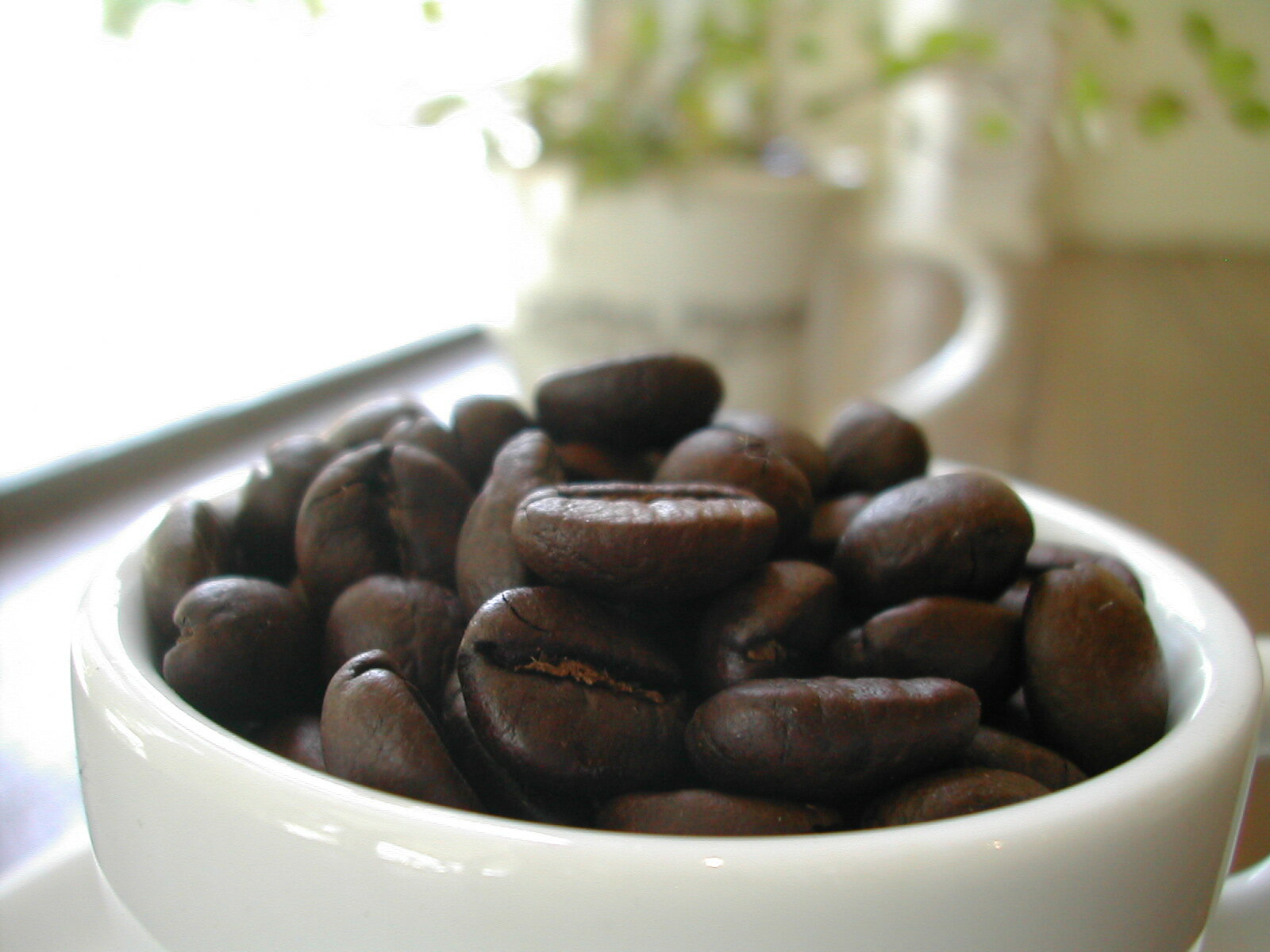224℃ダークローストブレンド 200g -224℃ Dark Roast Blend-カプチーノなどのアレンジコーヒーにオススメコーヒー豆