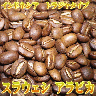 インドネシア　トラジャビンタン (500g)