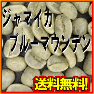【生豆】 ブルーマウンテン 300g