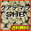 コーヒー 生豆 グアテマラ SHB 10kg 送料無料 (1kgx10)