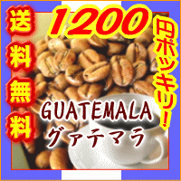 グアテマラ/ガテマラ　送料無料■豊かなコクと甘みに芳醇な香り！でもアフターテイストはとって…...:coffeebaka:10000195