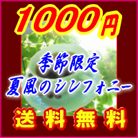 1000円ポッキリ!!■送料無料■26％OFF!!楽天ランキング第1位記念★季節限定♪夏風のシンフォニー【メール便】コーヒー豆【お盆帰省_2012夏】【2sp_120810_ blue】【SBZcou1208】コーヒーばかの店