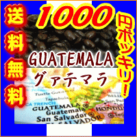 1000円ポッキリ!!■送料無料■26％OFF!!ほのかに香る柑橘系のシトラスフルーツの香りに豊かなコクとキレ！■グァテマラSHB■深煎り（フレンチロースト）-300g-【メール便】コーヒー豆【YDKG-tk】【お盆帰省_2012夏】【2sp_120810_ blue】【smtb-TK】コーヒーばかの店ベルマークもらえます！【マラソン201207_食品】