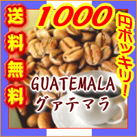 1000円ポッキリ!!■送料無料■26％OFF!!豊かなコクと甘みに芳醇な香り！でもアフターテイストはとっても爽やか！■グァテマラSHB■中深煎り（フルシティロースト）-300g-【メール便】コーヒー豆【YDKG-tk】【smtb-TK】【2sp_120810_ blue】コーヒーばかの店ベルマークもらえます！【ポッキリ0721】