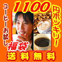 送料無料 福袋 コーヒー豆/感動コーヒーお試し福袋!!★グァテマラ150g.ブラジル150g/メール便/珈琲豆/こーひー/こーひーまめ/粉/業務用/こーひ/こーひまめ】 食品 レギュラーコーヒー アラビカ豆 コヒー豆 ポイント消化 内祝い お中元 御中元