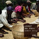エチオピア モカ デカフェ シャキッソファーム【100g】|珈琲 コーヒー 美味しい コーヒー豆 高級 ブラック 自家焙煎 エチオピア 焙煎 珈琲豆 豆 エスプレッソ お試し